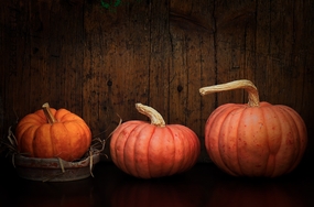 秋天成熟的大南瓜图片